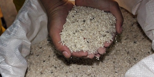 cách bảo quản gạo